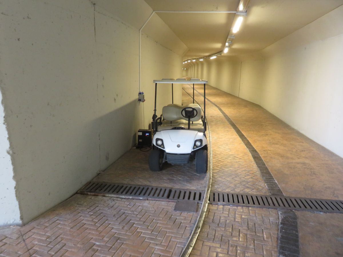 imagini hotel KIRMAN CALYPTUS